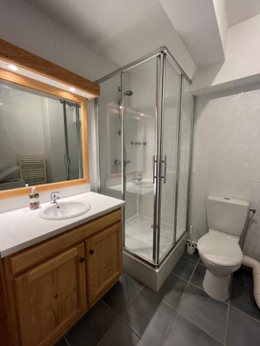 a bathroom with a shower and a toilet and a sink at Apartment l’Alpette Oz en Oisans in Oz
