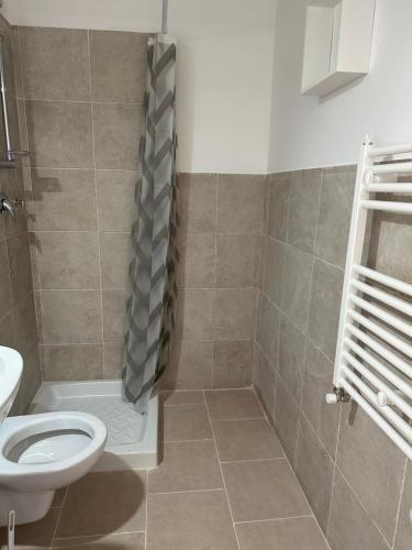 a bathroom with a toilet and a shower at Cara Casa al Porto n.25 in Bari