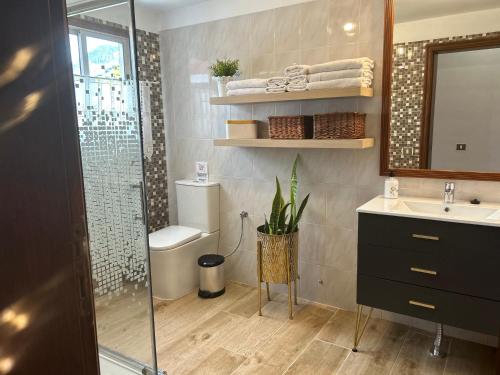 a bathroom with a shower and a sink and a toilet at CASA DEL MIR in Tegueste