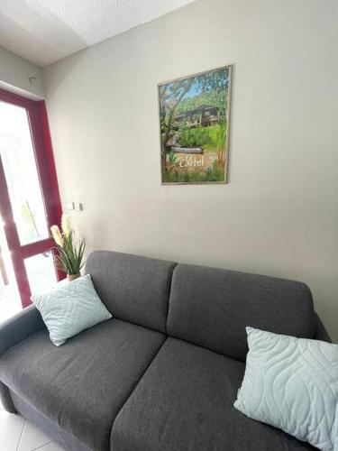 un sofá en una sala de estar con una foto en la pared en Beau T2 tout confort en Cayenne