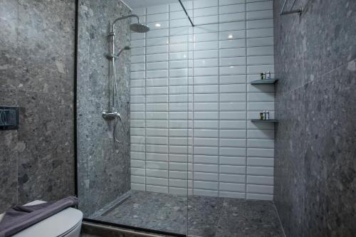 a shower stall with a toilet in a bathroom at GM Apartments-Rhodes Luxury Living in Kalithies