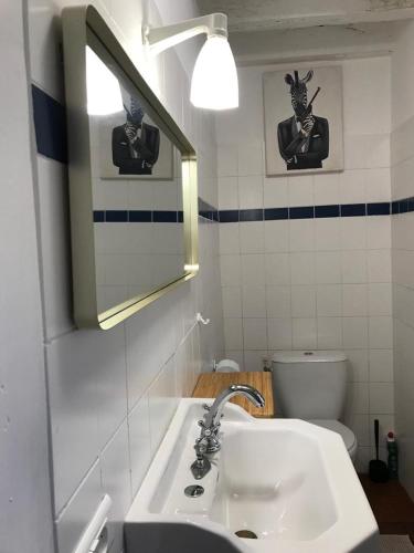 une salle de bain avec un lavabo et un miroir et des toilettes dans l'établissement The cosy retreat, à Mornay-sur-Allier