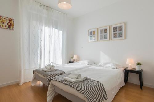 Charming Apartment in Lisbon Center with Garage