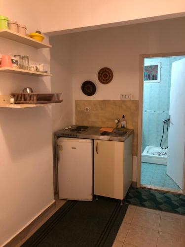 a small kitchen with a sink and a shower at Dragana in Petrovac na Moru