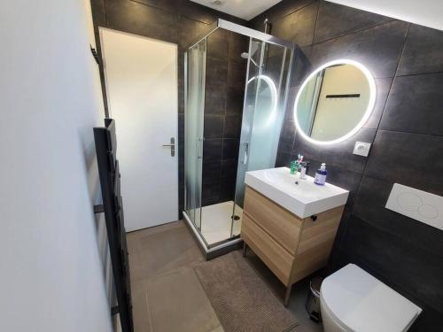 エクスレバンにあるMeublé de tourisme 2 chambre AIX LES BAINSのバスルーム(シャワー、洗面台、トイレ付)