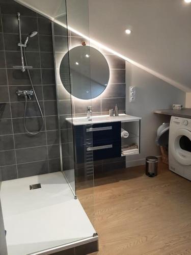 une salle de bain avec une douche, un lavabo et un miroir dans l'établissement La Maison d'Albert et Julia à 12 mn du Futuroscope, à Beaumont
