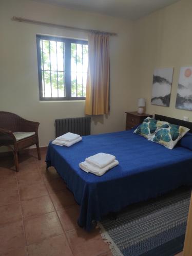 1 dormitorio con cama con sábanas azules y ventana en La casa de la parcela en Piedrahita