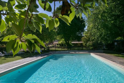 a swimming pool in a yard with trees at Camping La Ferme de Perdigat in Limeuil