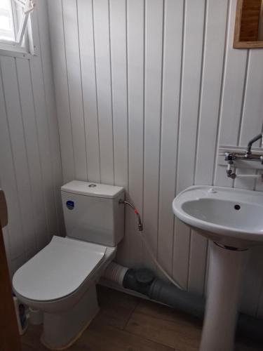 a bathroom with a toilet and a sink at Agroturystyka u Edwarda in Karwia