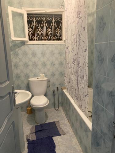 W łazience znajduje się toaleta, umywalka i prysznic. w obiekcie La Marsa Maison avec jardin, terrasse parking Wifi Illimité w mieście La Marsa