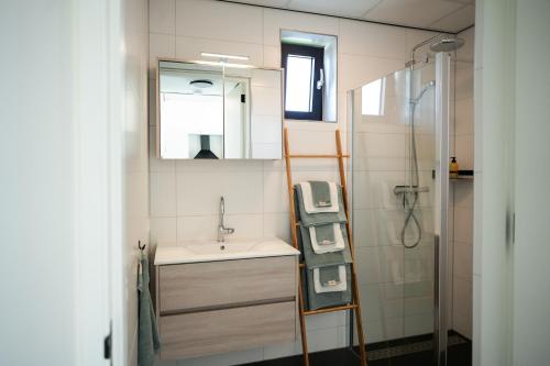 a bathroom with a sink and a mirror and a shower at 4 to 6 persons waterfront villa in Roelofarendsveen