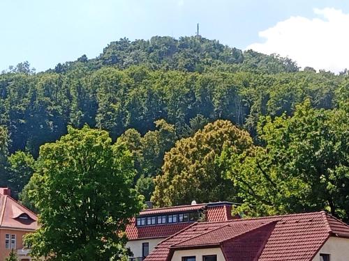 een berg in de verte met huizen en bomen bij Apartment Biesnitz in Görlitz
