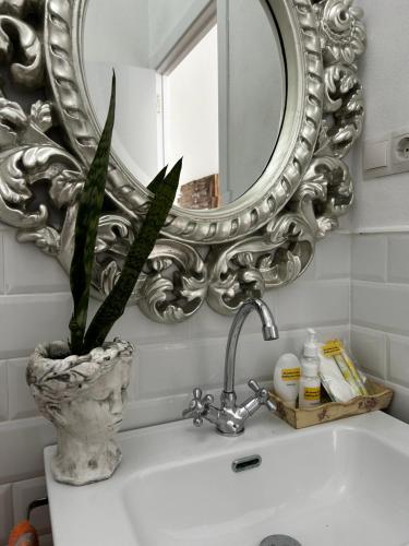 zlew w łazience z lustrem i rośliną w obiekcie Doña Josefina y Don Simón w mieście Almería