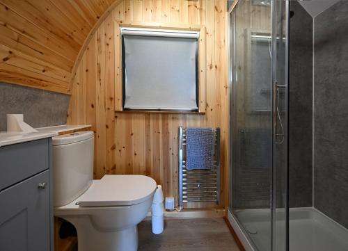 a bathroom with a toilet and a shower at Macree Pod in Taynuilt