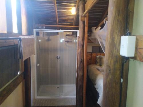 prysznic ze szklanymi drzwiami w pokoju w obiekcie Nako Okavango Guesthouse w mieście Ntabis