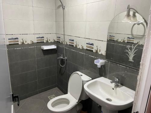 een badkamer met een toilet en een wastafel bij Hotel MASSINE 
