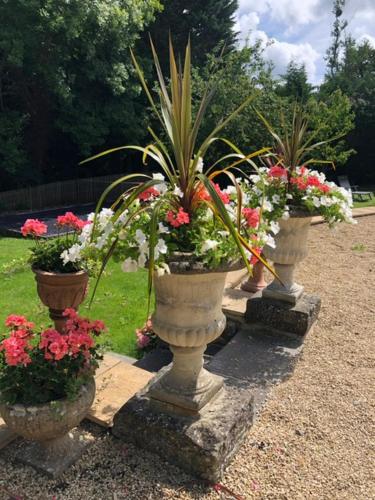 a row of flower pots with plants in them at The Long House in Flax Bourton