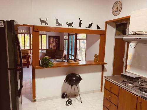 a kitchen with a counter with cats on the wall at GatoPardo in Montenegro