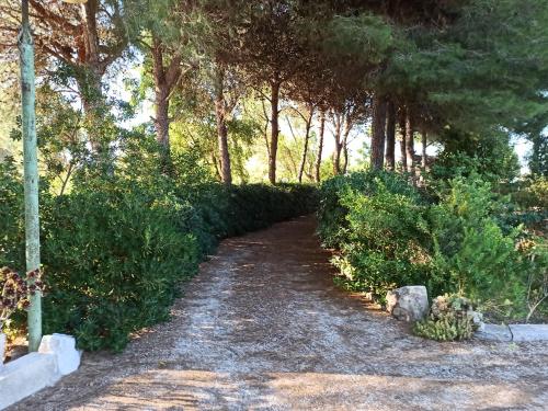 A Casa dei Nonni - 3000mq di relax in giardino a 1500m dal mare