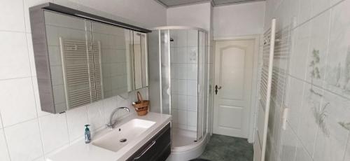 y baño blanco con lavabo y ducha. en Ferienwohnung 2 am Hofladen Hellendorf en Bad Gottleuba