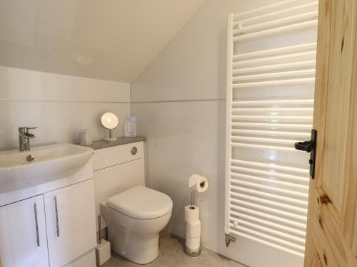 a white bathroom with a toilet and a sink at Old Cart House in Oswestry