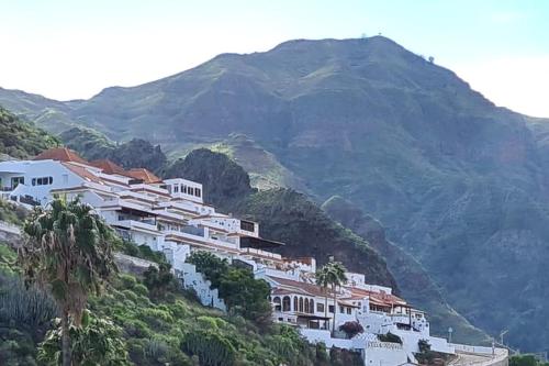Agaete Stone Valley