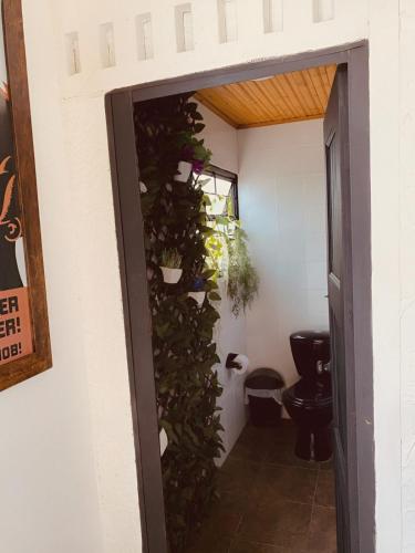 a bathroom with a toilet with a plant on the wall at GatoPardo in Montenegro