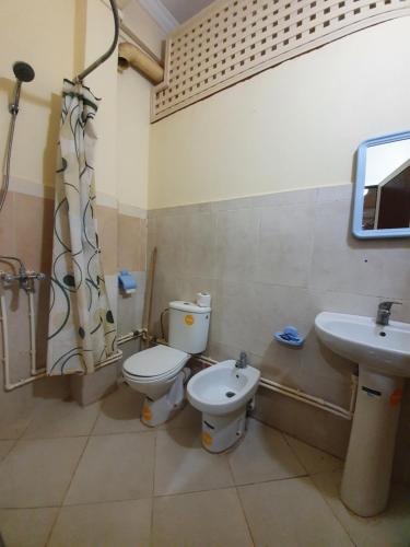 Hotel Achark في Bou Arfa: حمام مع مرحاض ومغسلة