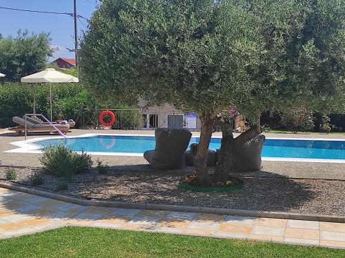 Gallery image of Volta Villas Lefkada in Lefkada Town