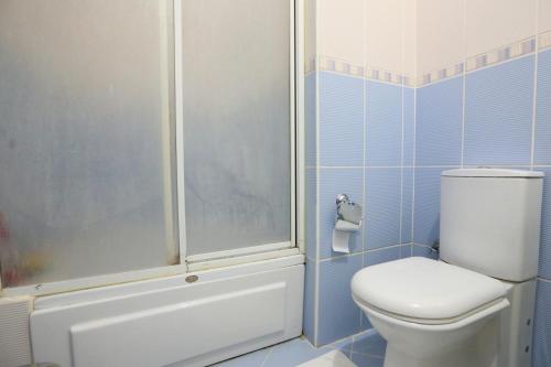 a bathroom with a toilet and a shower at Flat with Two Living Rooms and Balcony in Uskudar in Istanbul