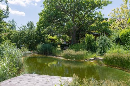 a pond in a garden with a wooden bridge at BurgenLandhaus in Gols