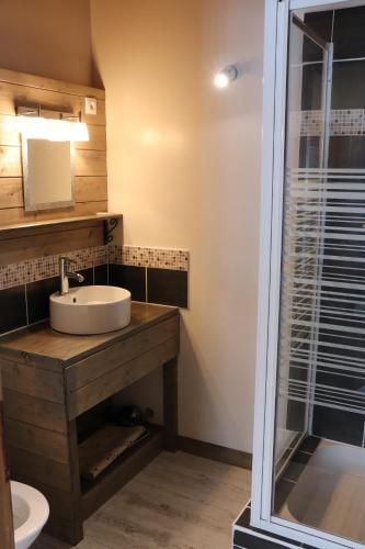 een badkamer met een wastafel en een douche bij La Grangerie in Aillon-le-Jeune