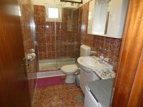 W łazience znajduje się prysznic, toaleta i umywalka. w obiekcie Filip w Biogradzie na Moru