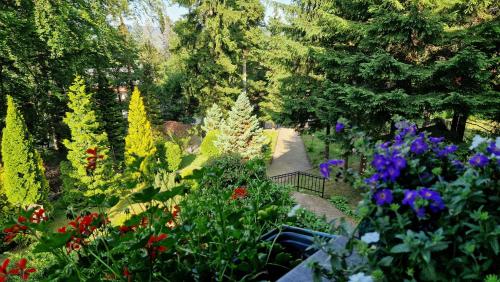 a garden filled with lots of different colored flowers at Willa 1910 in Karpacz