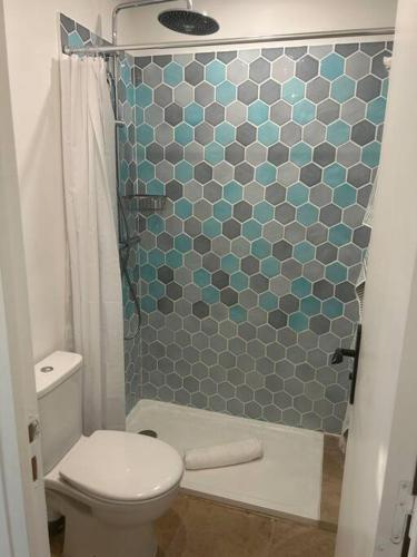 La salle de bains est pourvue de toilettes et d'une douche carrelée. dans l'établissement Cool Blue Cotignac Studio in the heart of the village, à Cotignac