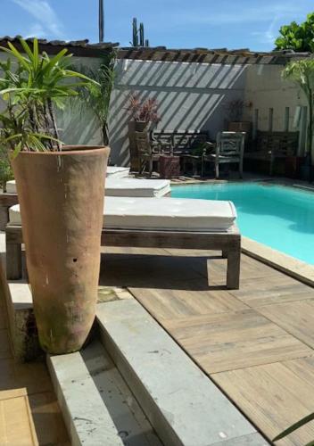 a pool with two beds and a potted plant at Hostel Niterói in Niterói