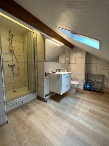 a bathroom with a shower and a sink and a toilet at Villa Janchrisma MontDore 11pers in Le Mont-Dore