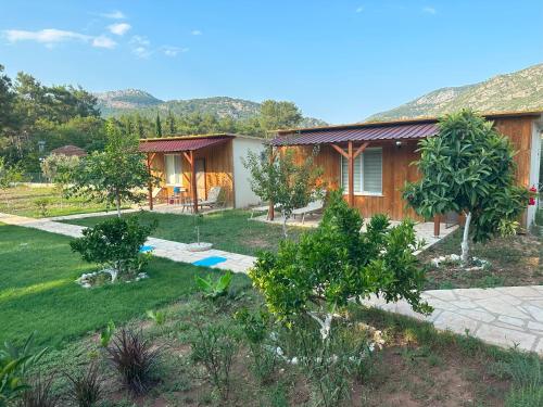una casa con un patio con árboles y una casa en Olympos İnci Pansiyon, en Olympos