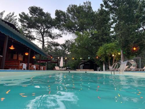 a swimming pool at a resort with trees in the background at Olympos İnci Pansiyon in Olympos