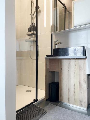 une salle de bain avec un lavabo et une douche dans l'établissement Studio Loubes Bernac, à Loubès-Bernac