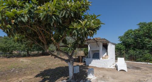 Zahrada ubytování Classic Guesthouse Nafplion