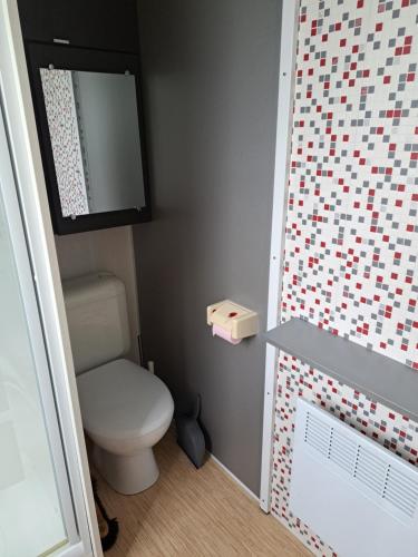 ein kleines Bad mit einem WC und einem Spiegel in der Unterkunft Mobile home à louer Les Sables d'Olonne - Vendée in La Pironnière