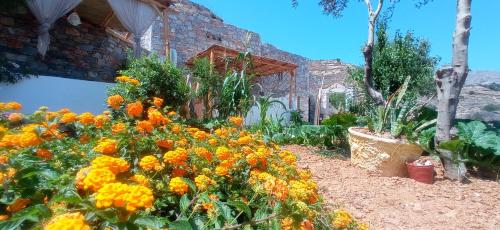 a garden with orange flowers in front of a building at Aliori art caves in Aegiali