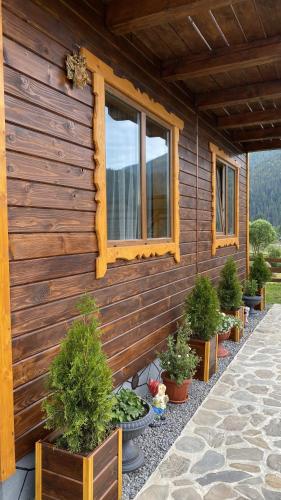 a wooden house with potted plants on the side of it at Котедж "Смерековий затишок" in Vorokhta