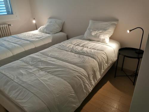 2 Betten nebeneinander in einem Zimmer in der Unterkunft La Rive du Doubs - 2 chambres - 5 Pers - 56, Chemin du Canal Du Rhône au Rhin in Dole