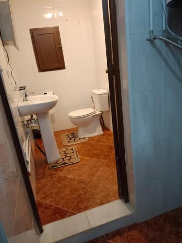 La salle de bains est pourvue de toilettes et d'un lavabo. dans l'établissement Casa rural Mccoy, à Macael