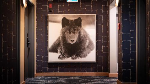 Fotografie z fotogalerie ubytování MTN House By Basecamp v destinaci Canmore