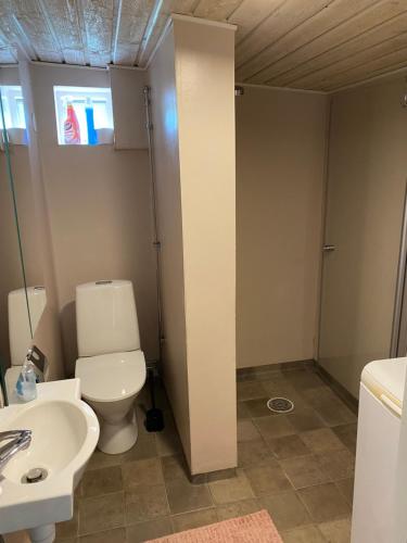 a bathroom with a toilet and a sink at Idyliska boende mitt på Öland in Färjestaden