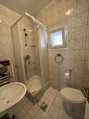 a bathroom with a shower and a toilet and a sink at Emko Apartmens Vir in Vir