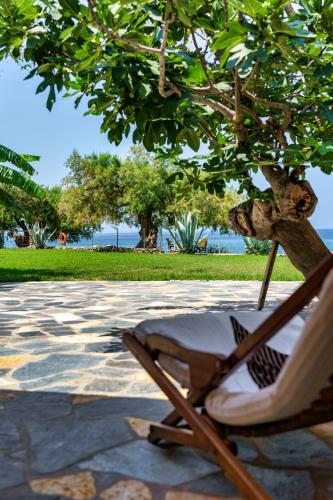 a chair under a tree sitting under a tree at Malsova Studio in Kotrónion